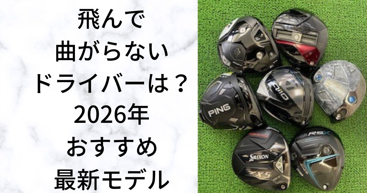 【2026年版】曲がらない！飛距離も出せるドライバー12選｜アベレージゴルファー向け